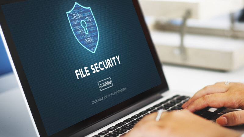 File Security Online Security Protection Concept