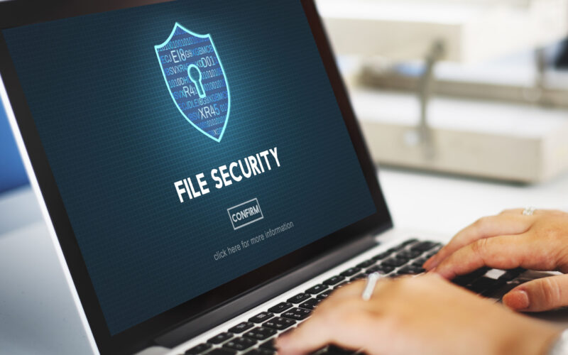 File Security Online Security Protection Concept